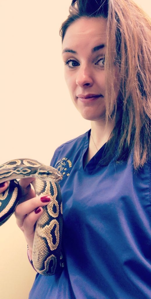 Our Veterinarian Team in Topeka, KS Animal Care Center of Topeka